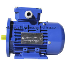 Y2 Series 3-Phase Electric Motors for Industry with ISO